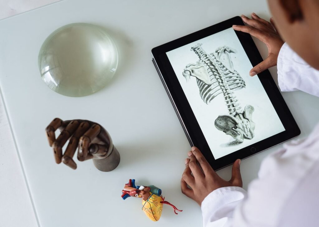From above of crop student wearing lab coat and studying human skeleton and tissue while surfing tablet at table in science center